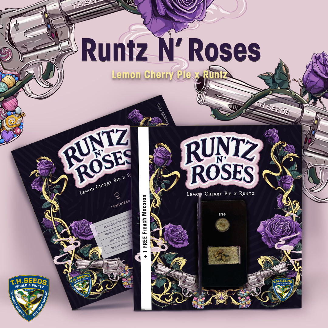 Runtz N' Roses von T.H.Seeds™