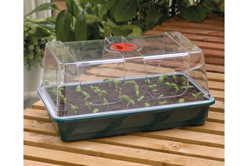 Propagator Large High Dome (Midi Gewächshaus)