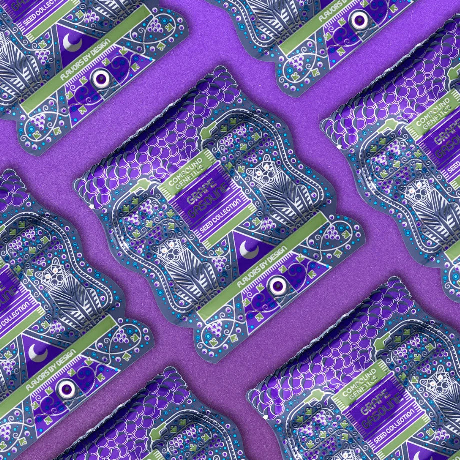 Purple preserves (Pinana × Grape Gas)