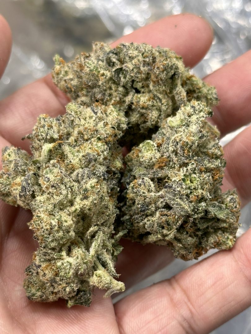 Park Avenue Pavé : (High Society x Pavé)