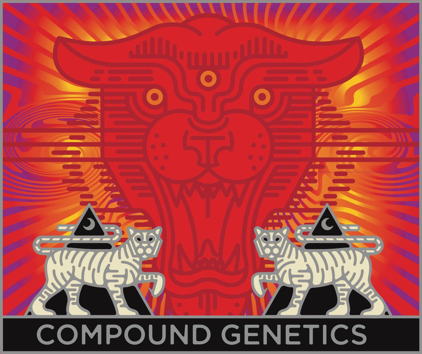 Zupernova (Zlayer x Eye Candy)