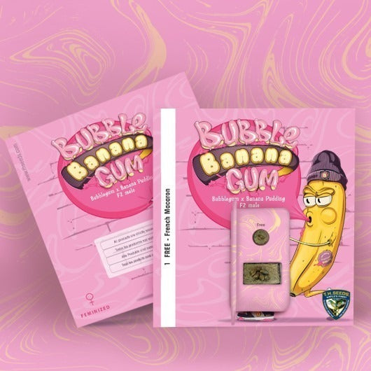 BubbleBananaGum – Feminisiert
