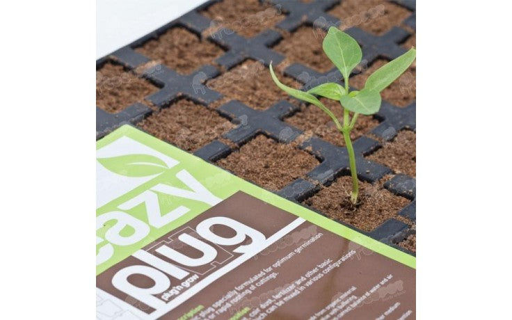 Eazy Plug 77 (Box of 10)