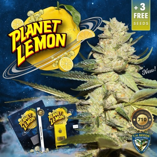 Planet Lemon – Feminisiert – 710 Limited Special Pack