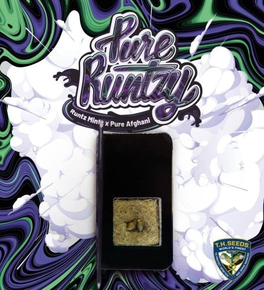 Pure Runtzy – Feminisiert