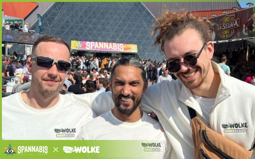 Das Wolke Grow Team auf der Spannabis