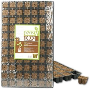 Eazy Plug 77 (Box of 10)