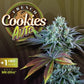 AUTO French Cookies – Feminisiert