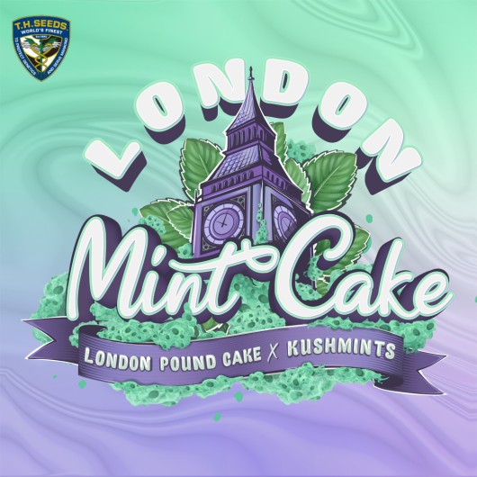 London Mint Cake – Feminisiert