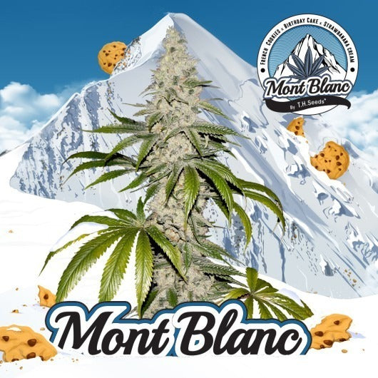 Mont Blanc – Feminisiert –  – FC X BDC X SBC