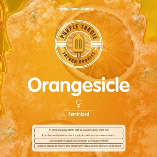 Orangesicle – Feminisiert