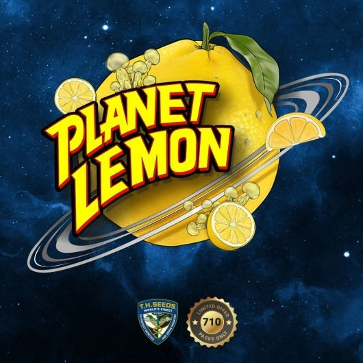 Planet Lemon – Feminisiert – 710 Limited Special Pack