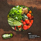 Plant BloOom - Chicken Shit Living Soil