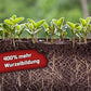Plant BloOom - Chicken Shit Living Soil