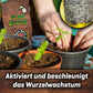 Plant BoOom - Myco-Rhiza BoOom
