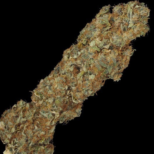 S.A.G.ETM CBD – Feminisiert