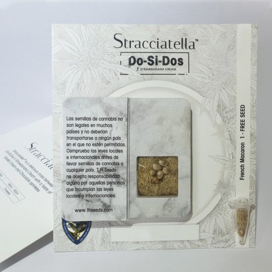 Stracciatella Do-Si-Dos X SBC – Feminisiert