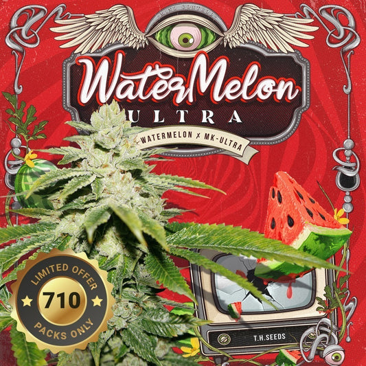 WaterMelon Ultra – Feminisiert – 710 Limited Special Pack